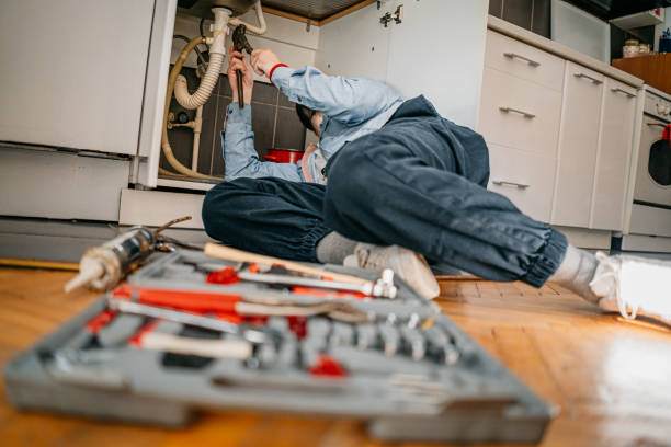 Best Plumbing Inspection Services  in Albion, IL