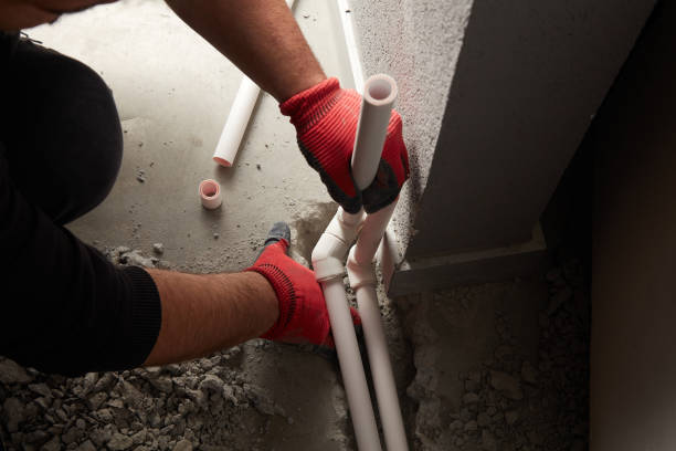 Best Commercial Plumbing Services  in Albion, IL