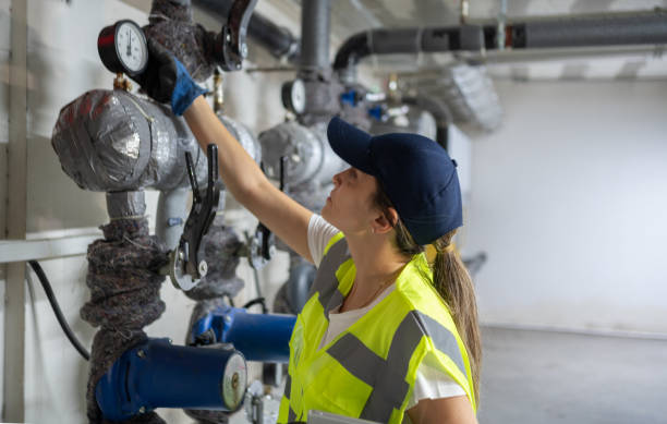 Best Commercial Plumbing Services  in Albion, IL