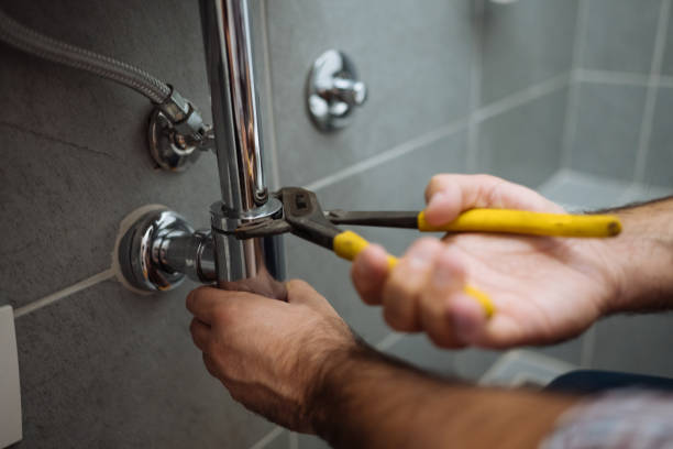 Best Plumbing Installation Services  in Albion, IL